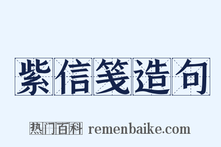 紫信笺造句是什么意思的图片